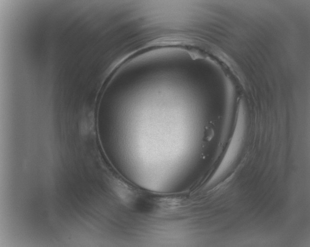 X0000069791465200605261644