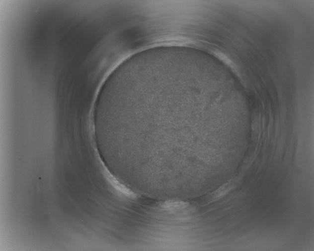 X0000069791466200605261644