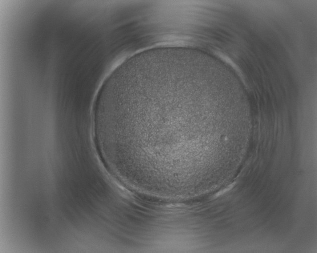 X0000069791467200605261644