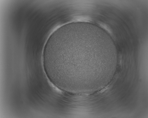 X0000069791471200605261644