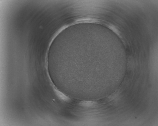 X0000069791474200605261644