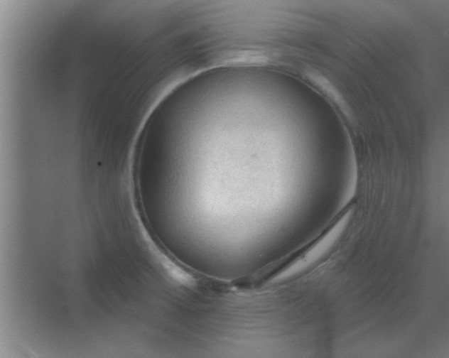 X0000069791475200605261644