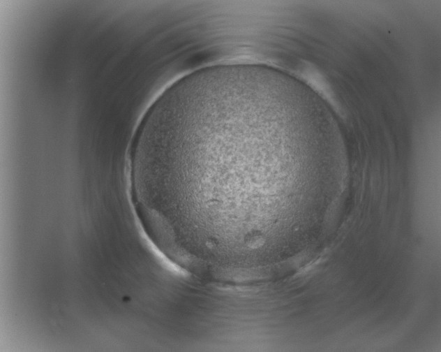 X0000069791476200605261644