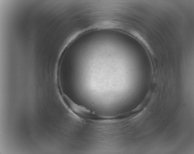 X0000069791477200605261644