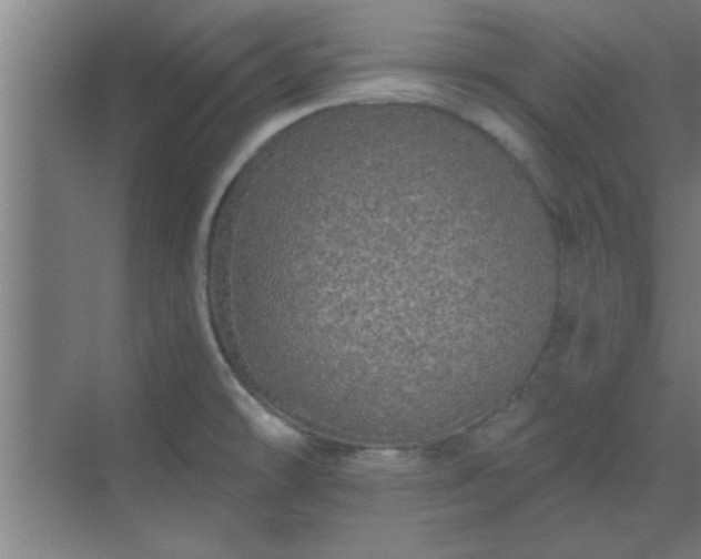 X0000069791478200605261644