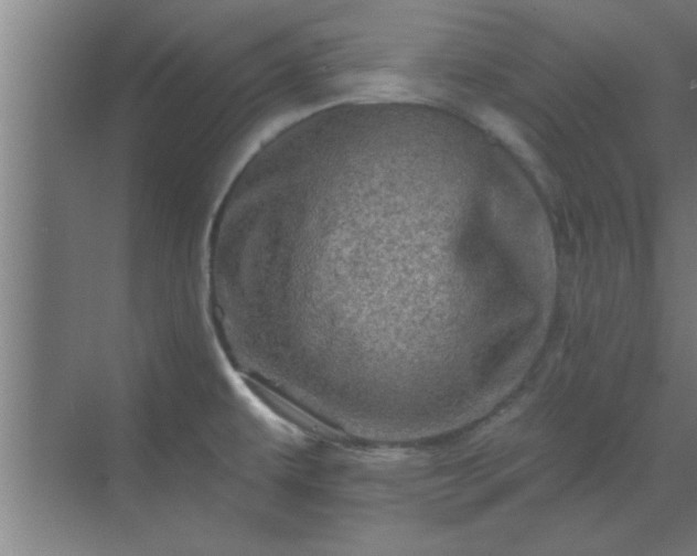 X0000069791479200605261644