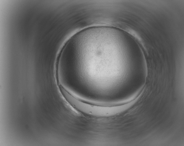 X0000069791480200605261644