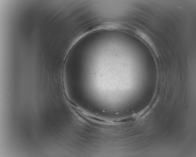 X0000069791481200605261644