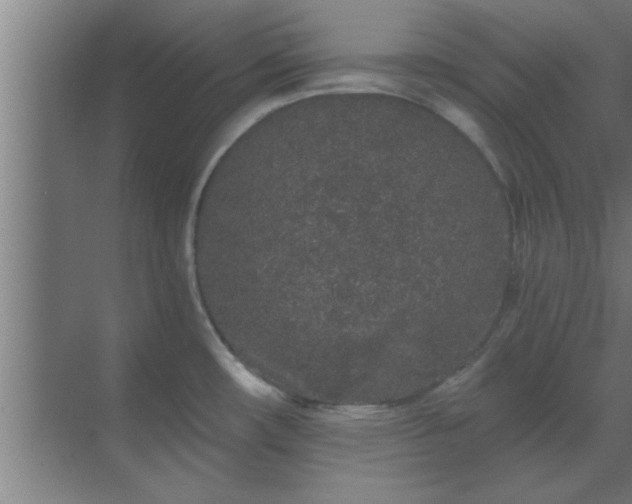 X0000069791482200605261644