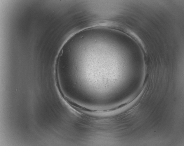 X0000069791483200605261644