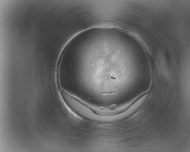 X0000069791484200605261644