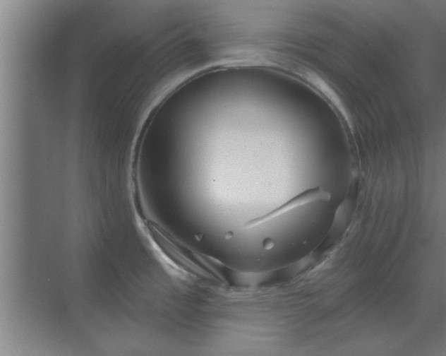 X0000069791485200605261644