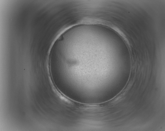 X0000069791486200605261644