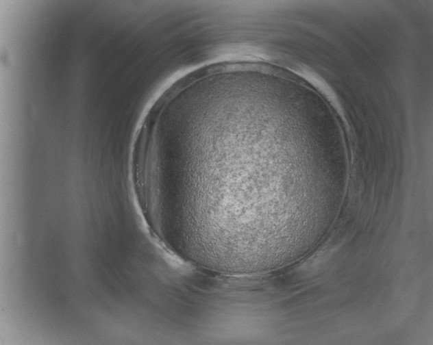 X0000069791488200605261644