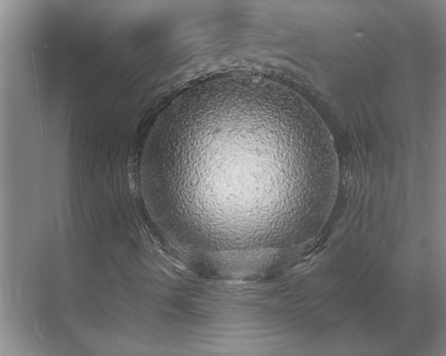 X0000069791490200605261643