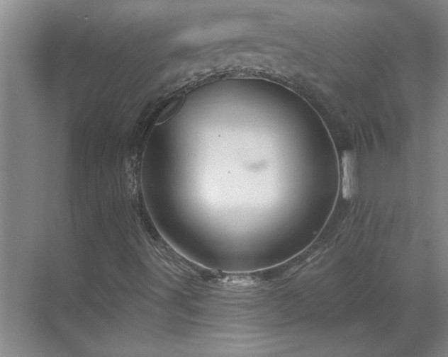 X0000069791491200605261643