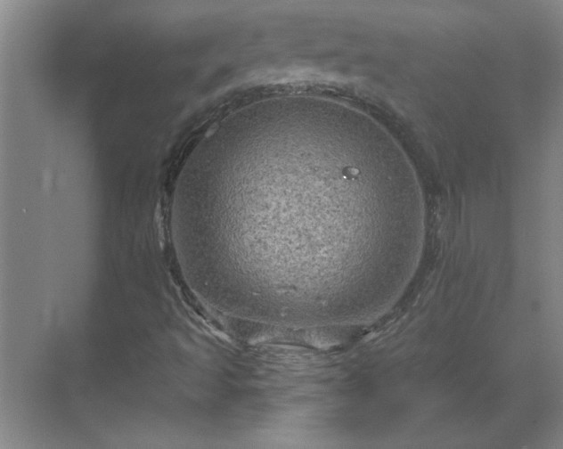 X0000069791493200605261643