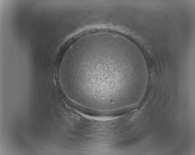 X0000069791494200605261643