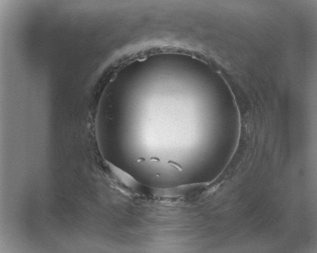 X0000069791495200605261643