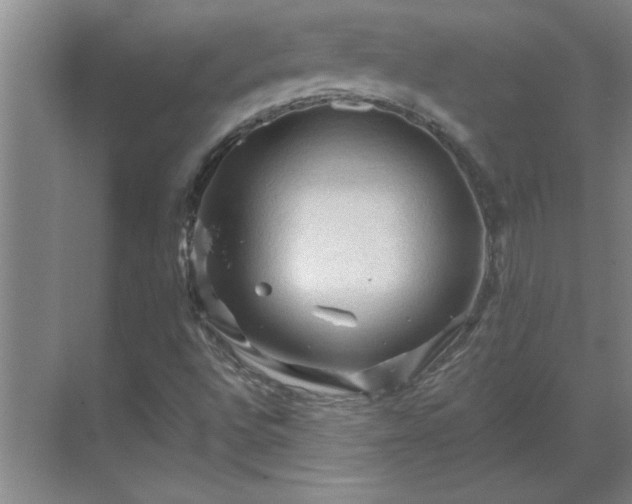 X0000069791496200605261643