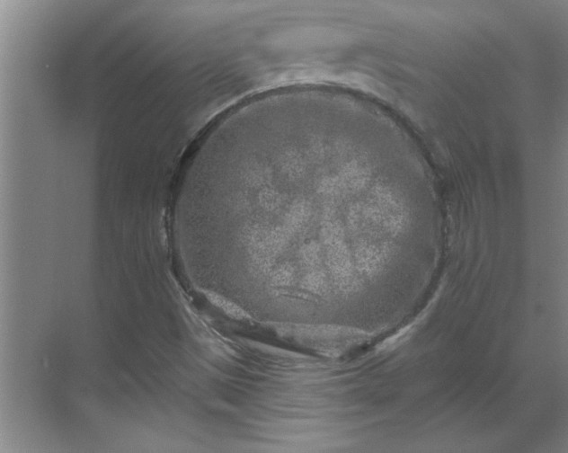 X0000069791497200605261643