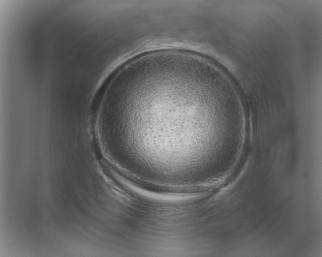 X0000069791501200605261643