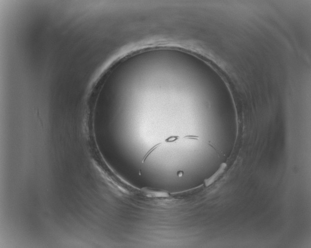 X0000069791502200605261643