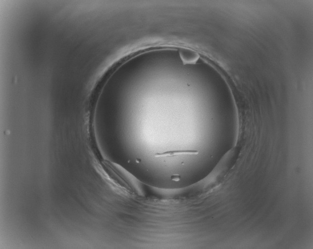 X0000069791503200605261643