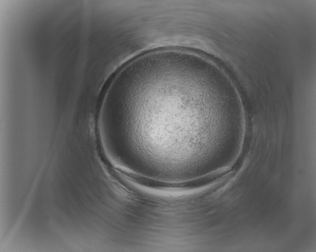 X0000069791505200605261643