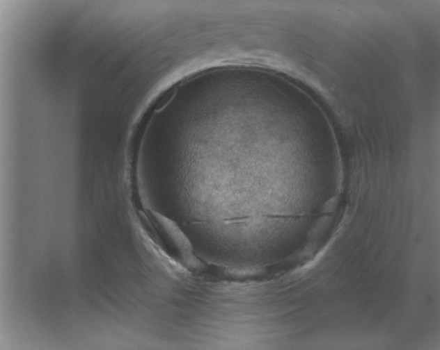 X0000069791506200605261643