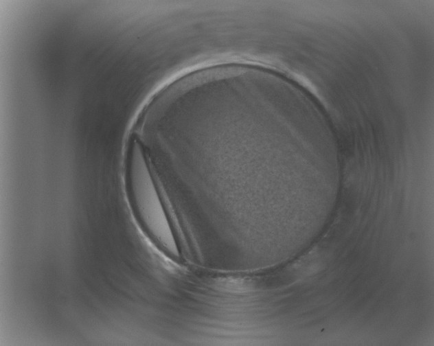 X0000069791508200605261643