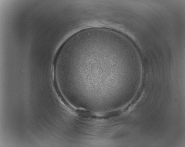 X0000069791509200605261643