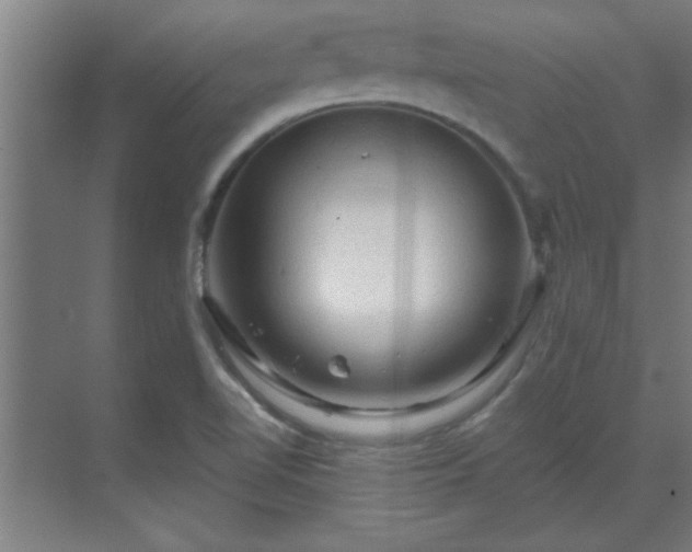 X0000069791510200605261643