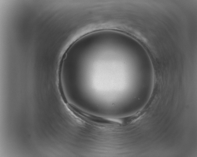 X0000069791512200605261643