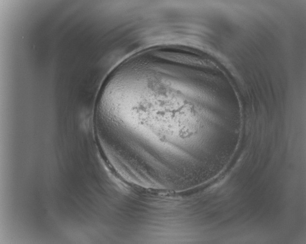 X0000069791513200605261643