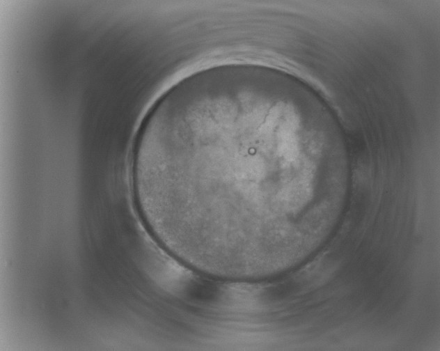 X0000069791514200605261643