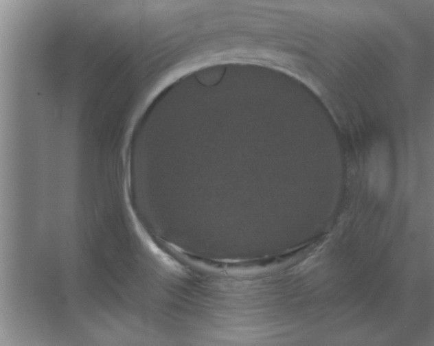 X0000069791515200605261643