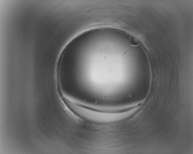 X0000069791516200605261643