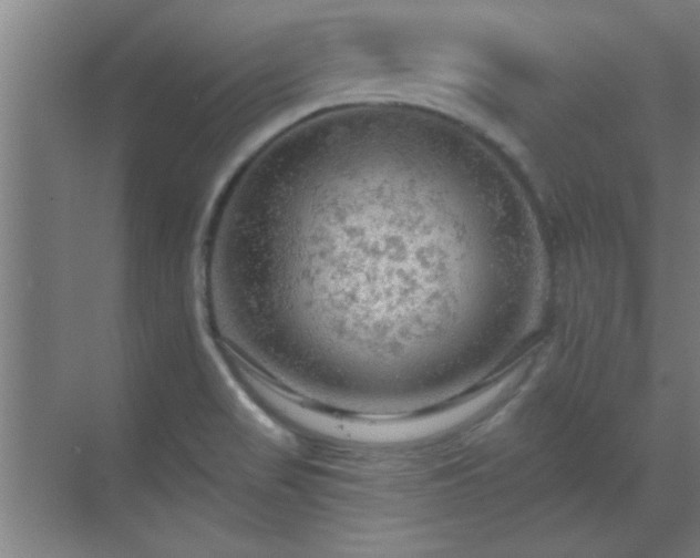 X0000069791517200605261643