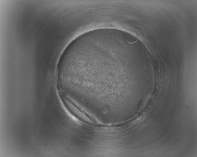 X0000069791519200605261643