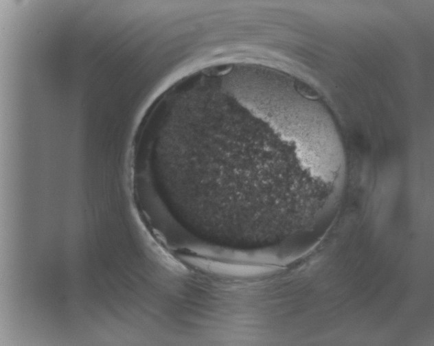 X0000069791522200605261643