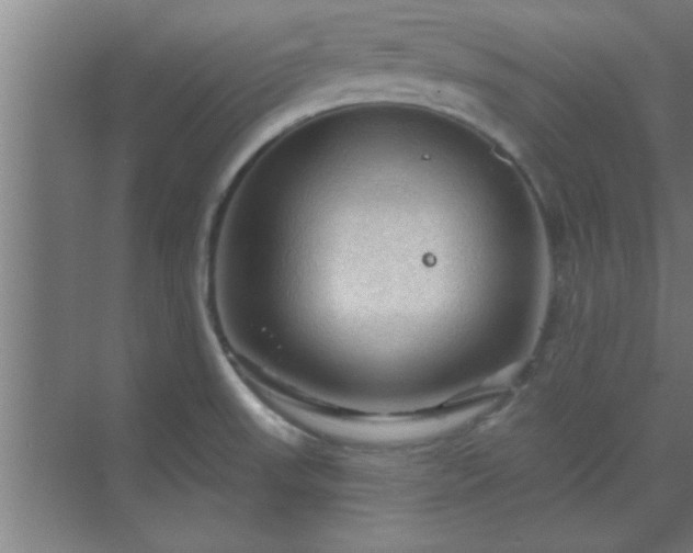 X0000069791523200605261643