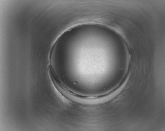 X0000069791524200605261643