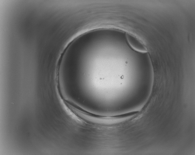 X0000069791526200605261643