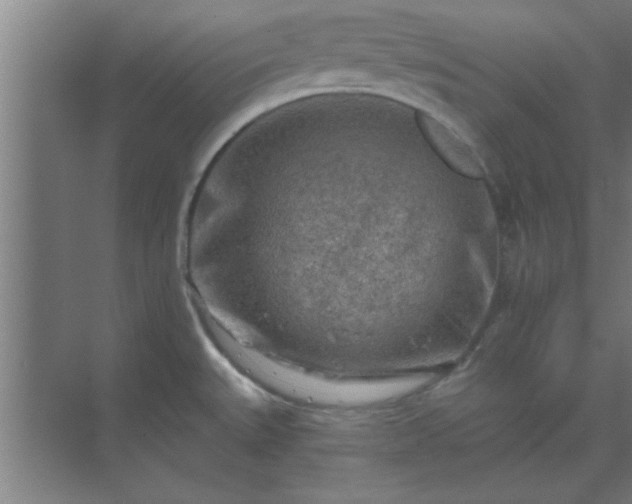 X0000069791527200605261643