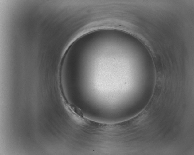 X0000069791530200605261643