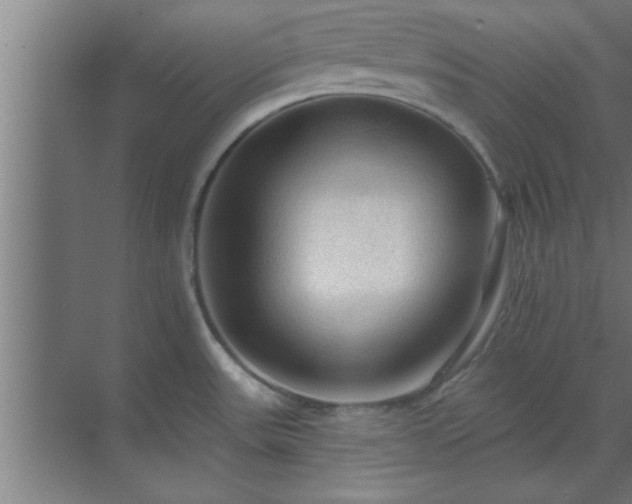 X0000069791531200605261643