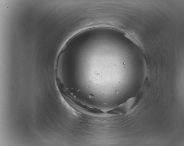 X0000069791532200605261644