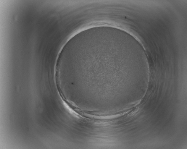 X0000069791535200605261644