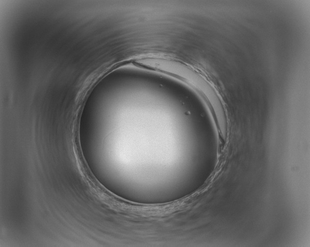 X0000069790001200606021425